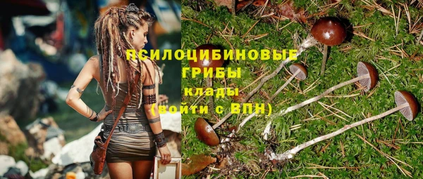 MDMA Premium VHQ Краснослободск