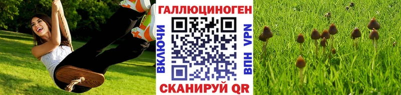 Купить закладки  Дагестанские Огни  Псилоцибиновые грибы ЛСД 